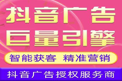 行业报告：专业SEM托管的成功实践与挑战